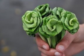 Plant Bouquet