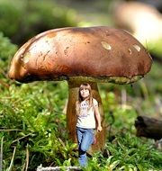 Girl under the mushroom