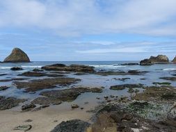 tide pools on the Oregon coast
