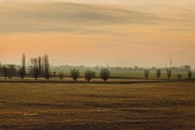 sunrise over fields with trees in the countryside