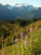 Beautiful landscape of Mount Olymps and countryside