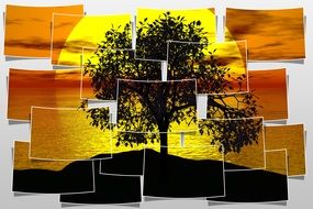 tree at sunset as a photo collage