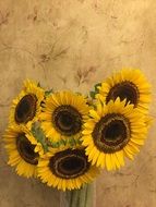 Sunflowers in a pot