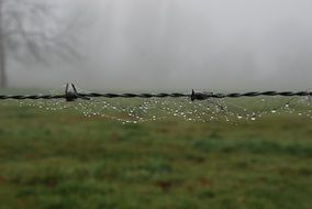 Water of the fog on the cobweb on the barbed wire