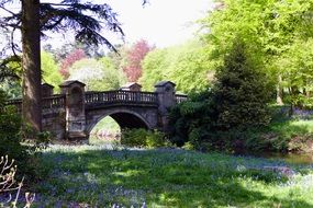 old stone bridge over the river in the park