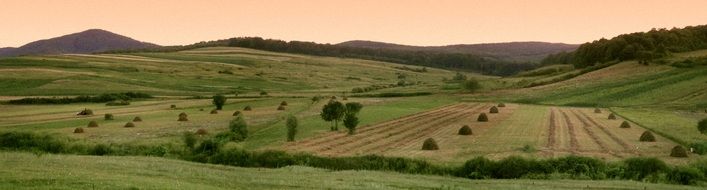 fields in Transylvania