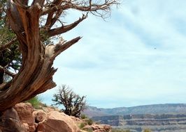 wonderful Grand Canyon