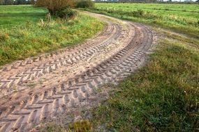 Tire tracks on a dirt road among the colorful grass