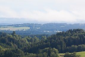 perfectly charming Fog Mountains