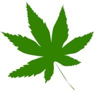 Icon Leaf Green Tree drawing