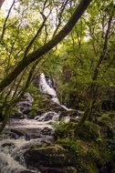 Beautiful landscape of the water among colorful trees in Galicia