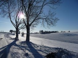 Wintry countryside at sunny day