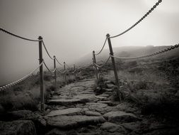 Black and white photo of the lane
