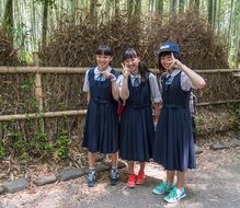 three japanese female students near a bamboo forest in a park