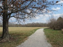 trail through the field in autumn