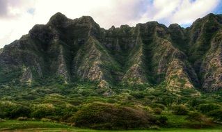 mountain range with green trees