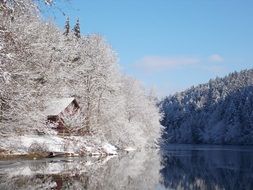Landscape of clean lake in a wintry forest