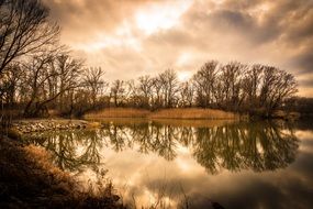 reflecting trees on the river water
