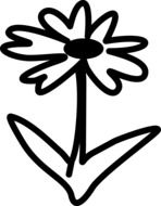 Black and white drawing of the beautiful daisy flower clipart