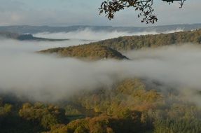 Landscape of Ardennes,Belgium