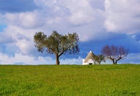 picturesque landscape in the puglia region