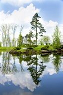 trees and clouds reflected in the pond