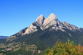 photo of Pyrenees in California