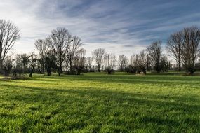 green pasture in a nature reserve