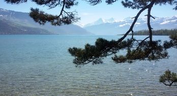 absolutely gorgeous Switzerland Lake on a sunny day