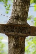 tree as a road sign
