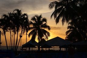 Landscape Martinique at dusk