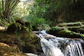 waterfall in the green forest
