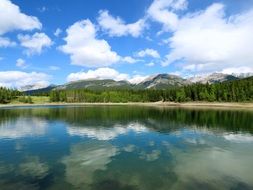 Reflection On Lake Sunny