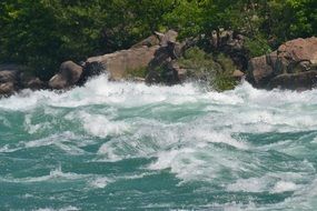 clear water in River wild scenery