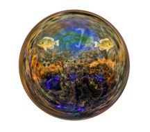 transparent ball with an aquarium