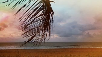 romantic Beach with Palm tree and dramatic horizon