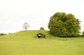 Landscape Green Nature