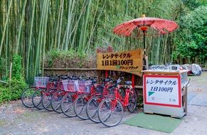 bikes for walks in the monkey park in japan