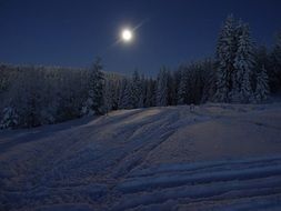 full moon over winter forest