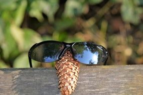 Sunglasses and pine cone