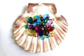 gemstones on the seashells