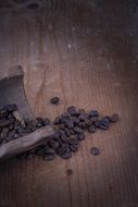 coffee beans on a wooden spatula