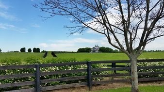fence on a horse farm in Kentucky