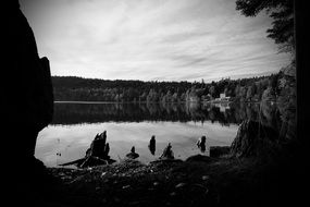 forest Lake, black and white Landscape