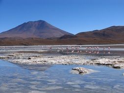 panoramic view of a lake in bolivia