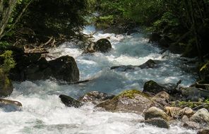 Water flow Wild River