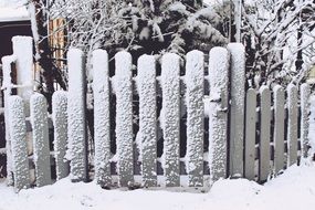 Snow covered Garden fence