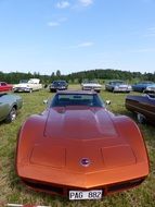 exhibition of Lots of beautiful cars on a meadow
