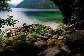 view from the forest to a picturesque lake