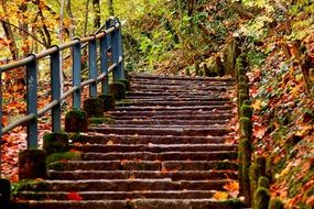 staircase in the autumn park